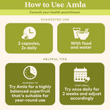 Organic India, Amla Rejuvenating Super Fruit  - 1 Each - 90 Vcap - Vita-Shoppe.com