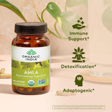 Organic India, Amla Rejuvenating Super Fruit  - 1 Each - 90 Vcap - Vita-Shoppe.com