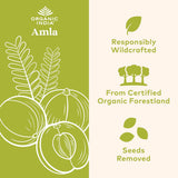 Organic India, Amla Rejuvenating Super Fruit  - 1 Each - 90 Vcap - Vita-Shoppe.com